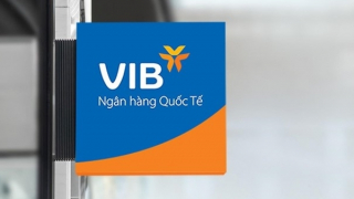 VIB: Lợi nhuận 2025 vượt 9.100 tỷ đồng, vững bước vào giai đoạn tăng trưởng mới