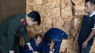 Hơn 12 tấn thực phẩm không rõ nguồn gốc bị thu giữ