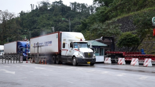 Đề nghị Bộ Y tế là cơ quan đầu mối rà soát, sửa đổi ngay Nghị định 46