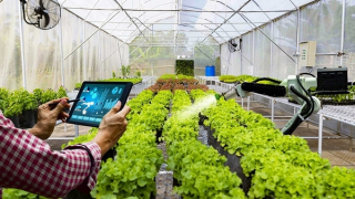 Đời sống người dân vùng cát đổi thay nhờ xây dựng nông thôn mới