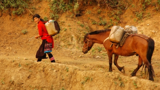 Vó ngựa kỳ bí trong văn hoá rẻo cao Tây Bắc