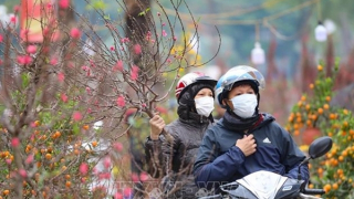 Dịp Tết, miền Bắc rét về đêm và sáng sớm, xuất hiện sương mù