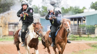 Nước kiệu mùa xuân