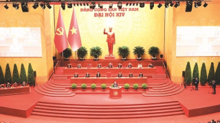 Trước mùa xuân tươi đẹp