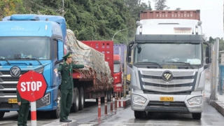 Tạm dừng áp dụng Nghị định số 46 về an toàn thực phẩm đến hết ngày 15/4/2026