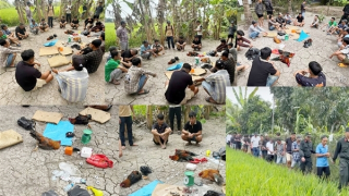 Bắt quả tang 18 con bạc "khát nước" đang sát phạt trên trường gà