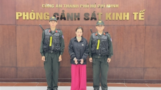 Bắt tạm giam nữ giám đốc mua bán trái phép hóa đơn