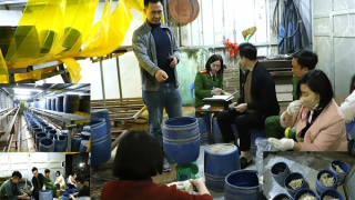 Khởi tố, bắt tạm giam đối tượng sản xuất gần 2,8 tấn giá đỗ bằng chất cấm