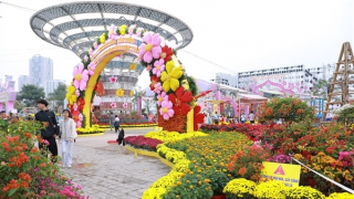 Hội chợ Công viên Thiên Văn học - Nơi Tết Việt hội tụ giữa trái tim xanh phía Tây Hà Nội