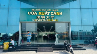 Chủ động ngăn chặn dịch do virus Nipah tại Cửa khẩu quốc tế Móng Cái