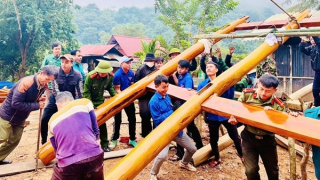 Mệnh lệnh từ trái tim