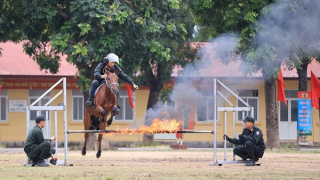 Kể chuyện Cảnh sát cơ động kỵ binh