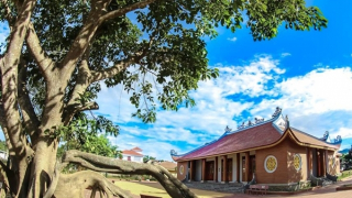 Viết trước đình làng