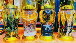 Hiểm họa từ thú vui… rượu độc