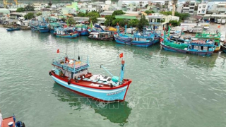 Khắc phục “thẻ vàng” IUU từ nền tảng số quản lý tàu cá