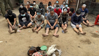 Triệt phá các tụ điểm đá gà, tạo sức răn đe cao dịp Tết