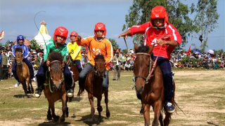 Độc đáo hội đua ngựa Gò Thì Thùng