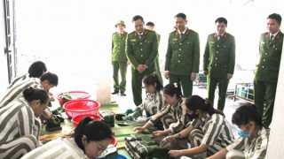 Nhân lên hy vọng ngày Xuân