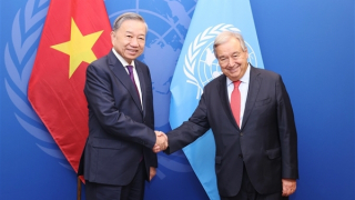 Chủ động, tích cực triển khai Nghị quyết Đại hội XIV trong công tác đối ngoại