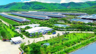 Vinamilk và hành trình nâng tầm vị thế doanh nghiệp việt trên bản đồ ngành sữa thế giới