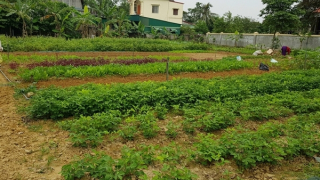 Giảm nghĩa vụ về tiền sử dụng đất cho hộ gia đình, cá nhân khi chuyển mục đích sử dụng