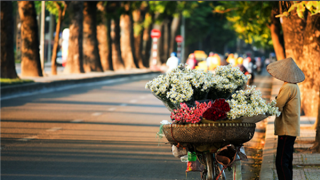 Miền Bắc sáng sương mù, trưa chiều hửng nắng tăng nhiệt