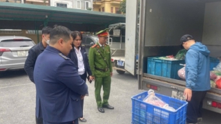 Phát hiện xe tải vận chuyển 350 kg nội tạng động vật, không rõ nguồn gốc, xuất xứ