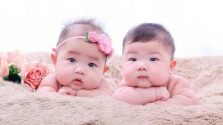 Mùa xuân trọn vẹn đầu tiên của những cặp vợ chồng hiếm muộn