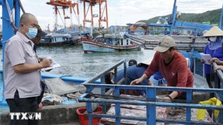 Da Nang adopts fisheries support policies to address EC’s IUU fishing “yellow card”