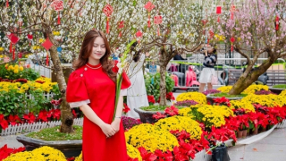 Du khách tấp nập check in không gian hoa xuân ấn tượng giữa lòng Hà Nội