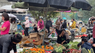 Sức mua tăng, thị trường giữ giá ổn định, hàng hóa dồi dào