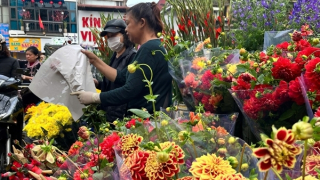 Ngày cuối cùng năm Ất Tỵ: Hoa tươi tràn ngập các chợ, giá không tăng "đột biến"