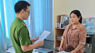 Nữ giám đốc bị khởi tố vì trốn thuế