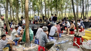 Trường gà trong rừng ăn thua tiền tỷ bị triệt phá ngày giáp Tết