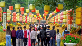 Đảm bảo an ninh, an toàn, phục vụ đông đảo khách du lịch trong dịp Tết