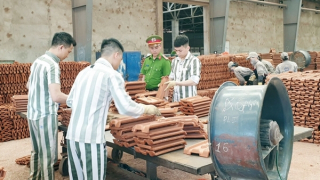 Đảm bảo tính nghiêm minh, nhân văn, phù hợp yêu cầu xây dựng Nhà nước pháp quyền