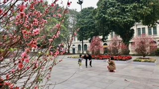 Miền Bắc đêm rét ngày nắng ấm 26 độ, Nam Bộ nóng bức