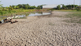 Chủ động ứng phó xâm nhập mặn bất thường, không để người dân thiếu nước ngọt