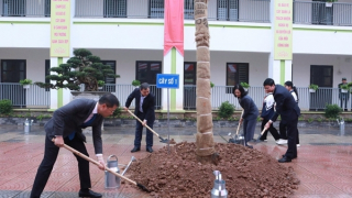 Ngành Giáo dục Hà Nội phấn đấu trồng mới 15.000 cây xanh