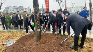 Phấn đấu trồng 3.000 cây xanh trong năm 2026 tại xã Đông Anh, TP Hà Nội
