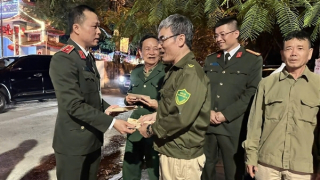 Thanh Hoá: Phạm pháp hình sự giảm sâu, tai nạn giao thông được kiềm chế