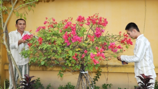 Tình người ở trại giam nơi cực Nam Tổ quốc