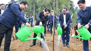 Chủ tịch nước dự lễ phát động Tết trồng cây năm 2026 tại tỉnh Lào Cai