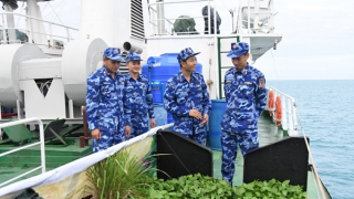 TP Hồ Chí Minh tổ chức bầu cử sớm tại 4 khu vực