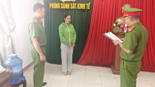 Nữ giám đốc làm khống hơn 500 hóa đơn để trục lợi tiền thuế