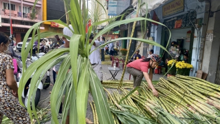 Lạ lùng chợ mía “vía trời” chỉ họp 2 ngày mỗi năm