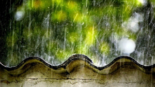 Mưa dông khắp cả nước, nhiều nơi mưa to