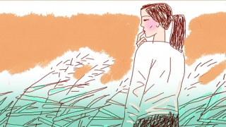 Cỏ lau gọi nắng