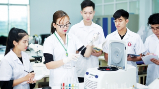 Hà Nội sẽ chi hơn 300 tỷ đồng hỗ trợ đào tạo 1.000 tiến sĩ