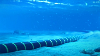 Backup infrastructure keeps Vietnam’s Internet stable after undersea cable incident